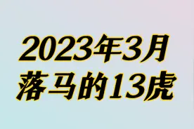 打虎不停歇，2023年3月落马的13虎，法律会饶过谁视频封面