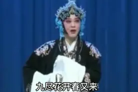 河南省豫剧一团主演王惠演唱《桃花庵》九尽花开春又来与陈派比比视频封面