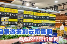 上海老夫妻自驾西藏来到云南昆明，带你看看这里超市菜价怎样视频封面