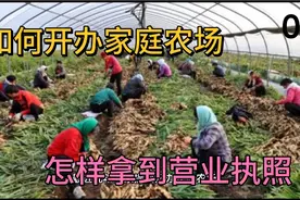 如何开办一个家庭农场，怎样拿到营业执照，必须具备以下四点视频封面