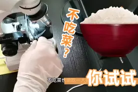 一粒大米饭放大1000倍，你还敢随便吃吗？视频封面