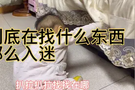 宝宝到底在找什么呢？非找到不可，哈哈哈视频封面