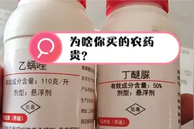 买农药选贵的就对了，为啥呢？一分价钱一分货，种植户切勿贪便宜视频封面