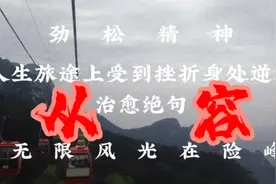 身处挫折逆境中从容治愈《毛主席诗词》无限风光在险峰潇洒走一回视频封面
