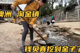 澳洲淘金镇，170年前有一万华人在此淘金，现在竟然还能挖到金子视频封面