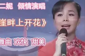 王二妮原唱舞曲《崖畔上开花》好听极了，甜美悦耳，欢快愉悦心情视频封面