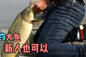 夏季钓大鱼最关键是守，记住五个步骤，新人也可以满弓拉大鱼视频封面