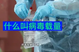 什么叫病毒载量视频封面