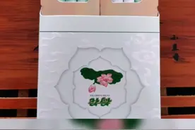 荷花双中支品鉴