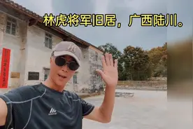 护国大将军，广西陆川林虎。视频封面