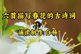 6首描写春花的古诗词：游园不值 晚春 江畔独步寻花 钱塘湖春行…视频封面