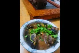 铁锅炖野生黑鱼