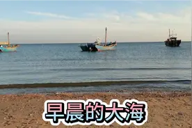 离沈阳这么近的海，竟然这么清澈，景色宜人，带娃旅游的好去处视频封面