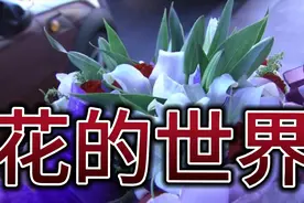 花歌分享给你，愿你青春永驻。视频封面