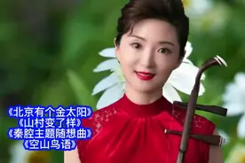 于红梅经典二胡名曲分享视频封面