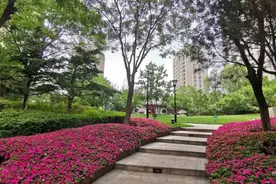 中化集团地产业务是重要的组成部分 金茂府 央企大品牌有保障。视频封面