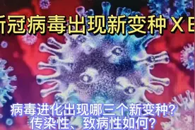 新冠病毒出现新变种ⅩE！传染性和致病性怎么样？视频封面