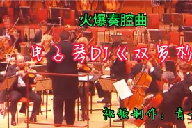 火爆网红秦腔曲牌《双罗衫》电子琴 DJ纯音乐，旋律优美动听！视频封面