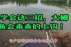 学会这三招，大鲫鱼会乖乖的上钩 ！