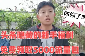 头条送给新手的隐藏福利，每个人可以获得5000流量包，你领取了吗视频封面