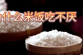 米饭究竟有什么魅力，让人吃几十年都不会吃腻。视频封面