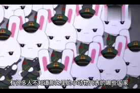 你知道为什么兔子代表中国吗？视频封面