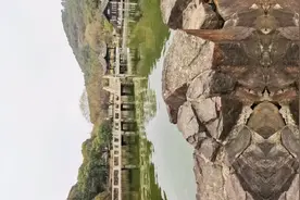 教你几招读心术视频封面