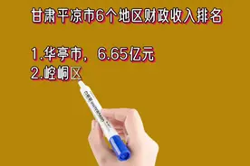 甘肃平凉市6个地区财政收入排名视频封面