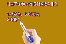 甘肃平凉市6个地区财政收入排名视频封面