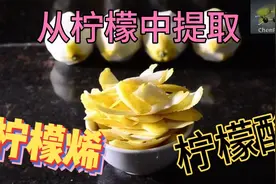从柠檬中提取柠檬酸和柠檬烯-#chemplayer｛英文版｝视频封面