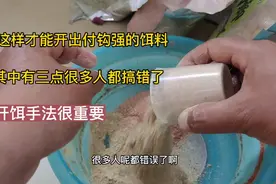 老钓鱼人都是这样开饵的，付钩强饵料软粘，其中三点很多人都搞错视频封面