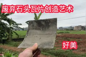 农民利用废弃石头瓦片，创造出精美盆景，简直就是0成本视频封面