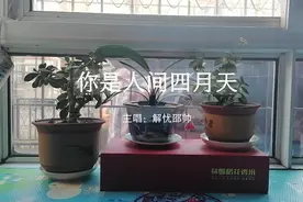 感谢头条君让我们相遇让我们有了精神寄托，还有收益，听我说收获视频封面