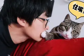 猫有多嫌弃主人？测试完心里拔凉拔凉的😂