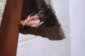 新生命视频封面