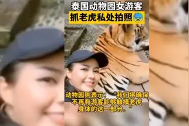 搞笑大湿：泰国动物园女游客，摸老虎的屁股拍照！老虎懵圈了……视频封面