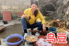 贵州遍地都是药材、农村小妹做一道草乌炖猪脚、具有祛风除湿功效视频封面