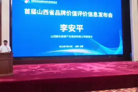 山西振东集团董事长李安平在首届山西省品牌价值评价信息发布会上视频封面