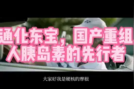 通化东宝，国产重组人胰岛素的先行者视频封面