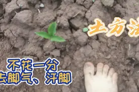 农村土方法，不花一分解决脚气汗脚视频封面