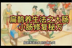 【扁鹊养生法之大肠，小肠修复秘方】视频封面