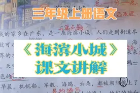 三上语文《海滨小城》课文讲解，美丽整洁的小城，是多少人的梦想视频封面