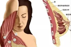 关爱女性乳腺健康  让天下女人不再有难言之隐视频封面