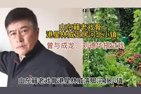 山东籍老戏骨港星林威定居河北小镇 曾与成龙 刘德华搭过戏视频封面