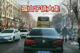 吉林省柳河县孤山子镇年前大集！视频封面