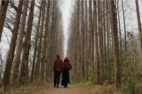 城市噪音污染大，妻子久病不好，结婚22年，回乡村过上向往的生活视频封面