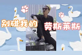 别碰我的劳斯莱斯全集视频封面