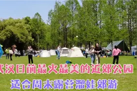 武汉目前最火的近郊公园，离市区约1小时车程，适合露营溜娃郊游视频封面