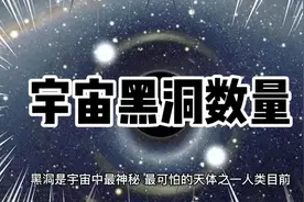 黑洞的数量视频封面