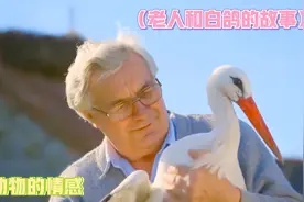 17年生死相守，每年跨越两万多公里，这个爱情故事太好哭了视频封面